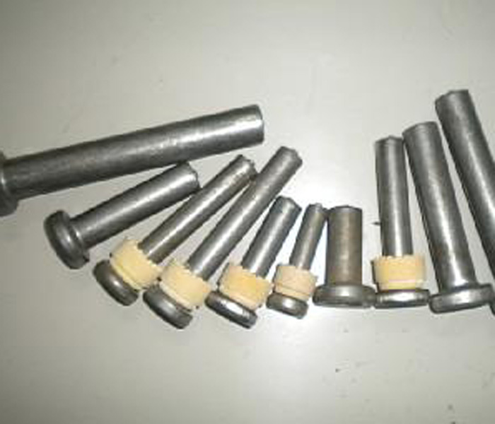 2025新澳门原料网站经典